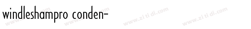 windleshampro conden字体转换